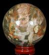 Colorful Petrified Wood Sphere #49741-2